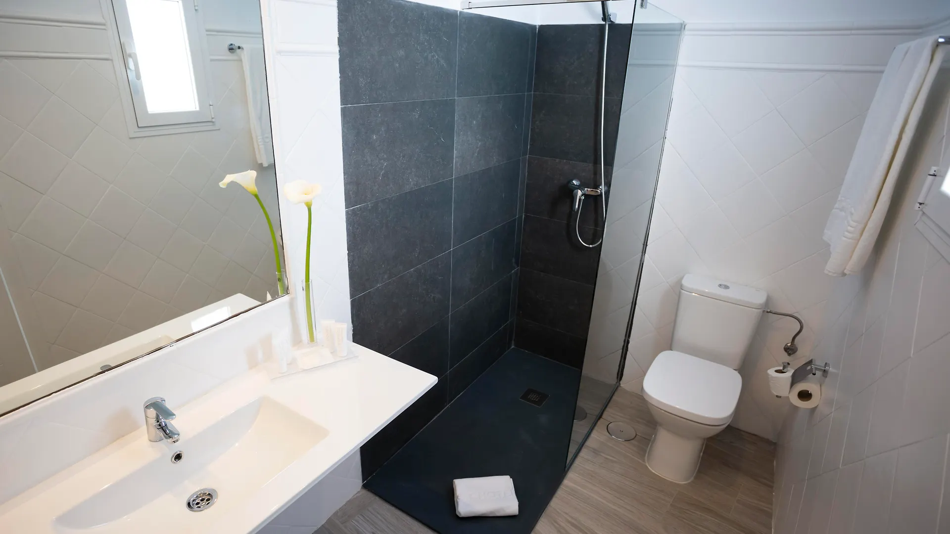 Basic Hotel Sevilla Catedral