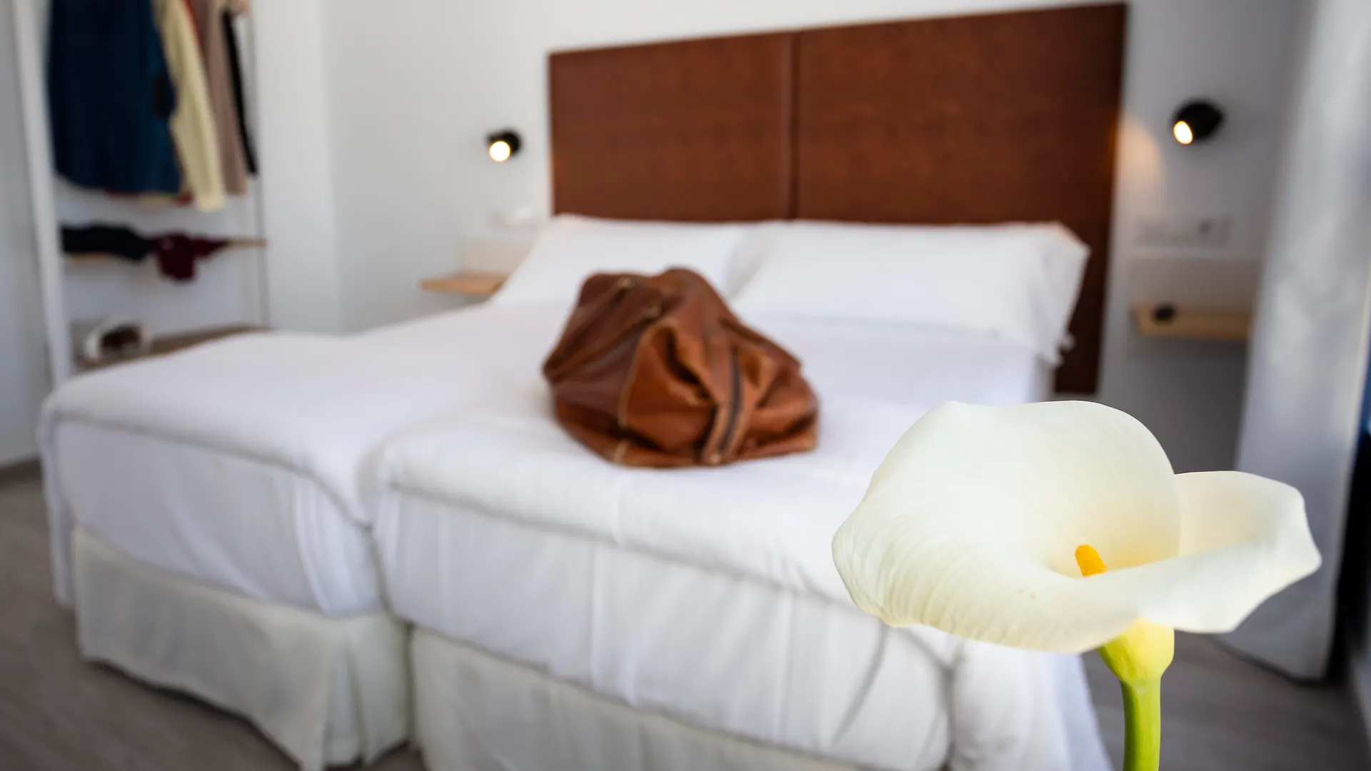 Basic Hotel Sevilla Catedral