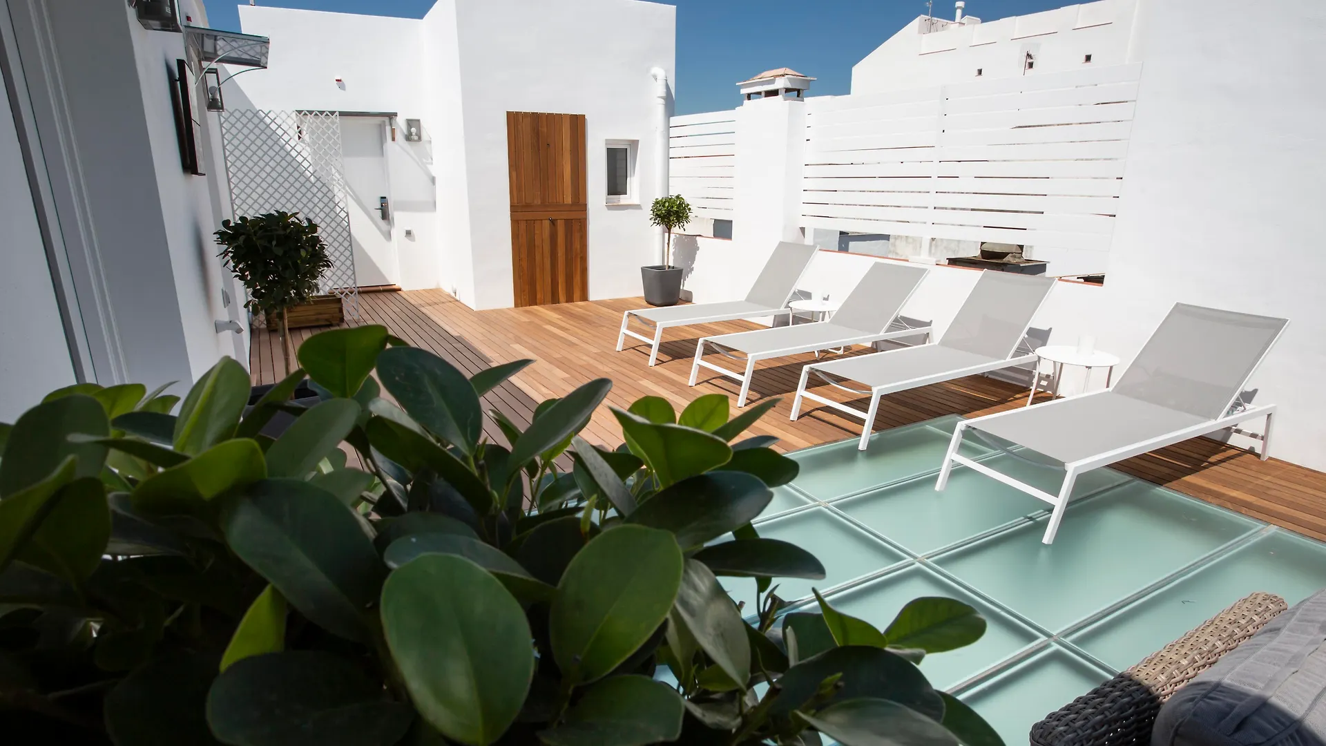 Basic Hotel Sevilla Catedral